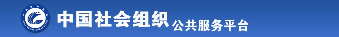 www.com草逼全国社会组织信息查询